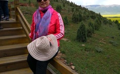 国产精品乱码久久久久久软件